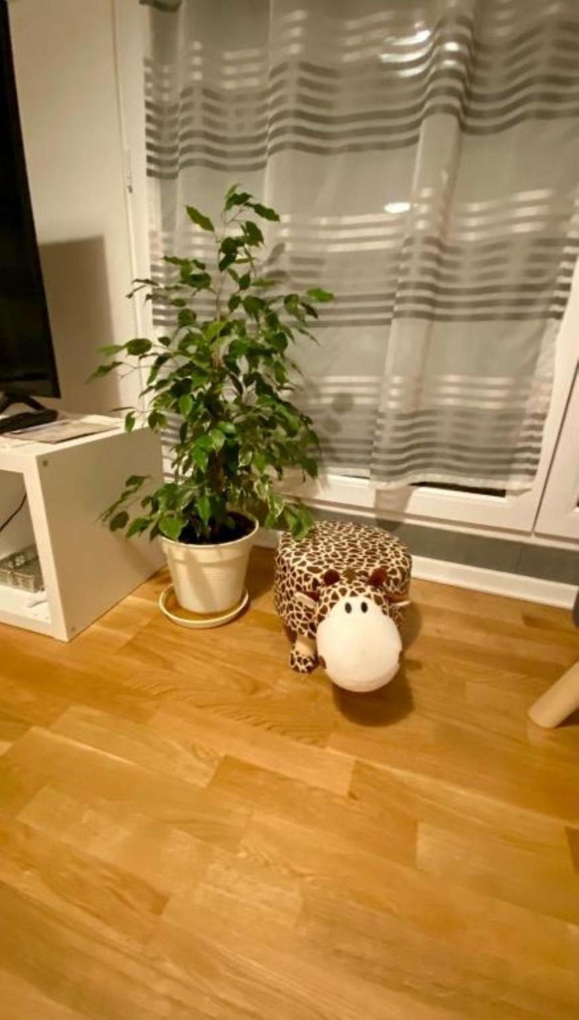 Schoenes Erwachen Im Frankfurter Penthouse Φραγκφούρτη Εξωτερικό φωτογραφία